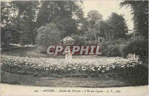 Ansichtskarte AK Angers Jardin des Plantes L'Ile des Cygnes