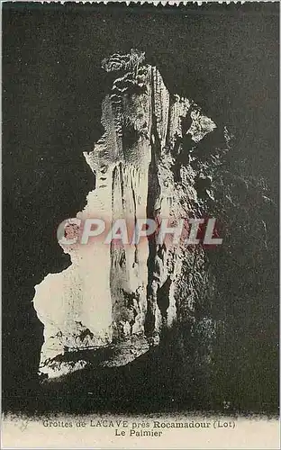 Ansichtskarte AK Grottes de Lacave pres Rocamadour (Lot) Le Palmier