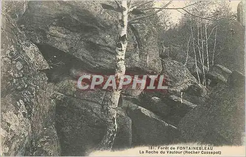 Ansichtskarte AK Foret de Fontainebleau La Roche du Vautour (Rocher Cassepot)