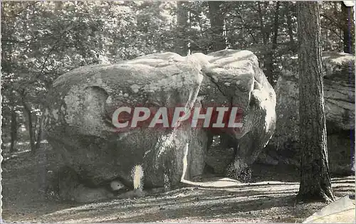 Cartes postales moderne Environs de Larchant (S et M) L'Elephant