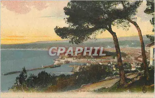 Cartes postales Nice Vue prise entre les Pins de Mont Boron