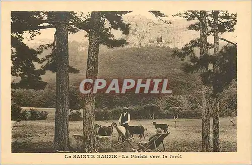 Ansichtskarte AK La Sainte Baume La Pinede vers la foret Chevres Chevre