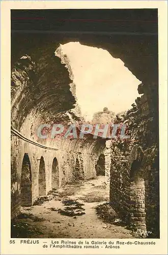 Cartes postales Frejus Les Ruines de la Galerie du Rez de Chaussee de l'Amphitheatre romain Arenes