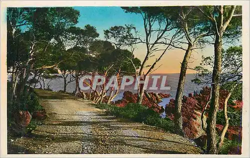 Ansichtskarte AK La Cote d'Azur Le chemin sous les Pins