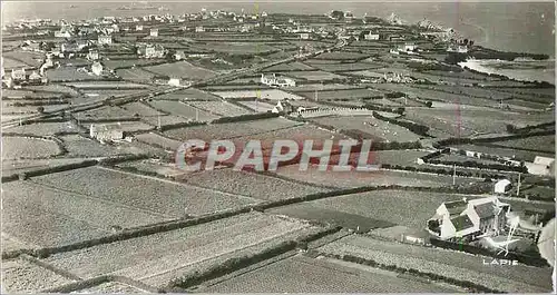 Cartes postales moderne Agriculture la Culture des Primeurs a Roscoff (Finistere)