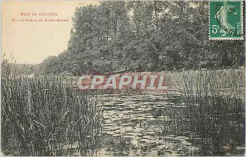 Cartes postales Bois de Chaville L'Etang de Brise Miche