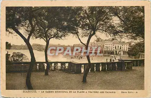 Ansichtskarte AK Biarritz le Casion Municipal et la Plage a travers les Tamaris