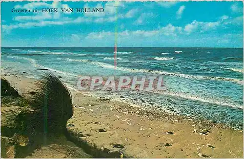 Cartes postales moderne Groeten uit Hoek Van Holland
