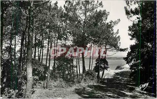 Moderne Karte Ronce les Bains (Ch Mme) La Mer vue de la Foret