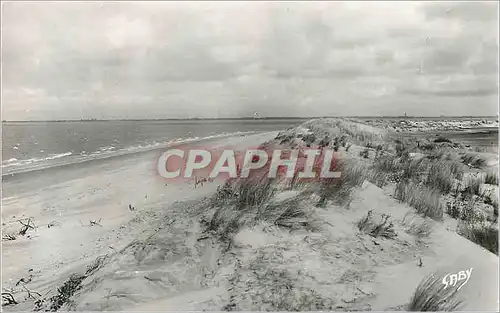 Cartes postales moderne Ronce Les Bains (Ch Mme) Le Galon d'Or La Cote Sauvage