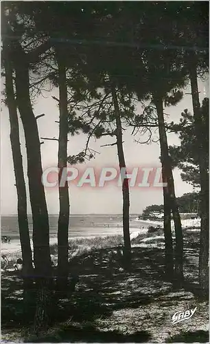 Cartes postales moderne Ronce les Bains (Ch Inf) La Plage
