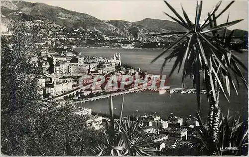 Cartes postales moderne Monte Carlo Vue generale