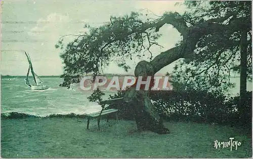 Cartes postales Parc du Casino de la Rochelle