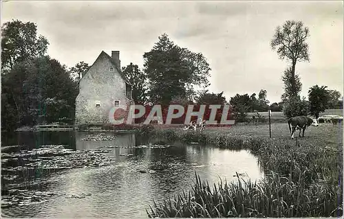 Cartes postales moderne Roeze (Sarthe) Moulin de la Beuneche