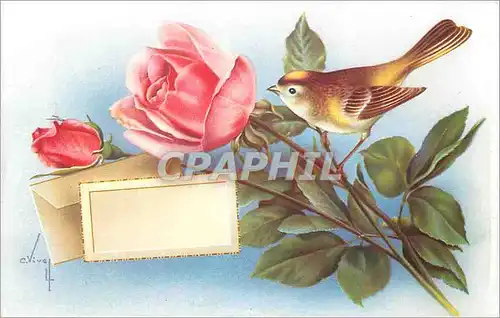 Cartes postales Oiseau