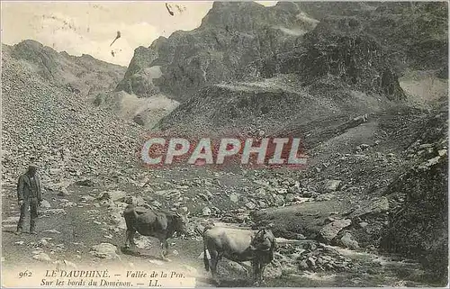 Cartes postales Le Dauphine Vallee de la Pra Sur Les Bords du Domenon Vaches