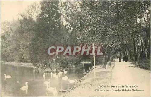 Cartes postales Lyon Parc de la Tete d'Or