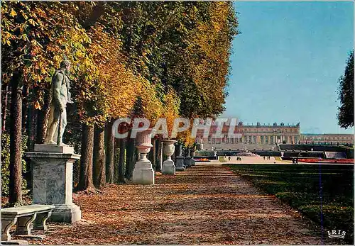 Cartes postales moderne Versailles (S et O) Le Tapis vert et le Chateau