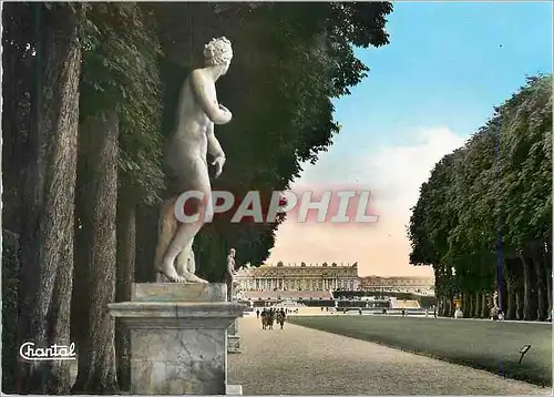 Cartes postales moderne Versailles Le Tapis Vert Perspective vers le Chateau