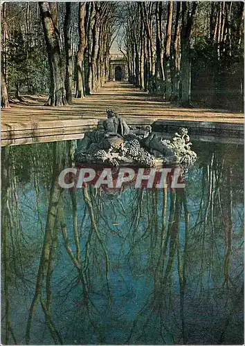 Cartes postales moderne Chateau de Versailles La fontaine de Bacchus ou de l'Automne