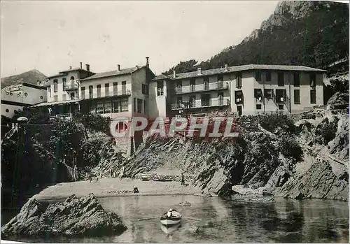 Cartes postales moderne Reserve du Trayas Chez le Pere Jean  Le Trayas