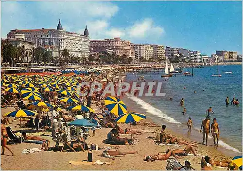 Cartes postales moderne Cannes (Alpes Maritimes) La Croisette et ses Plages