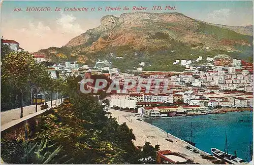 Cartes postales Monaco La Condamine et la montee du rocher