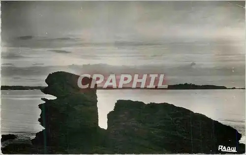 Cartes postales moderne Lancieux Contre jour sur la tete de chien