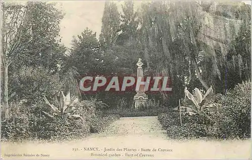 Ansichtskarte AK Nancy Jardin des Plantes Buste de Grevaux Botanical garden