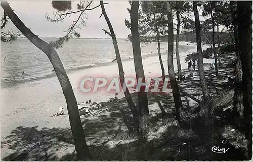 Cartes postales moderne Ronce Les Bains (Charente Maritime) La Plage de la Cepe