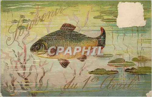 Cartes postales Poisson