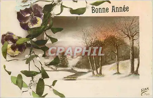 Cartes postales Bonne annee fleurs