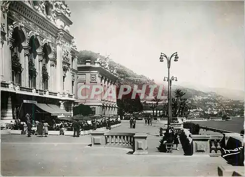Cartes postales moderne La Principaute de Monaco Monte Carlo Les Terrasses du Casino
