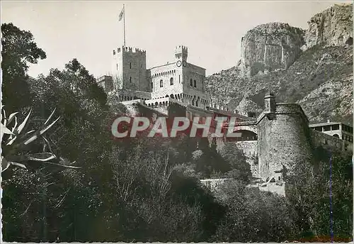 Cartes postales moderne Monaco Le Palais du Prince et la Tete de Chien