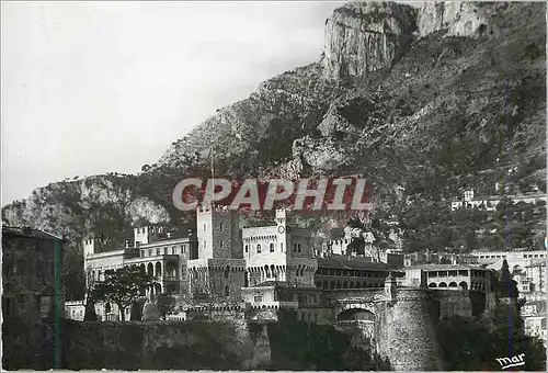 Cartes postales moderne La Principaute de Monaco Le Palais du Prince et la Tete de Chien