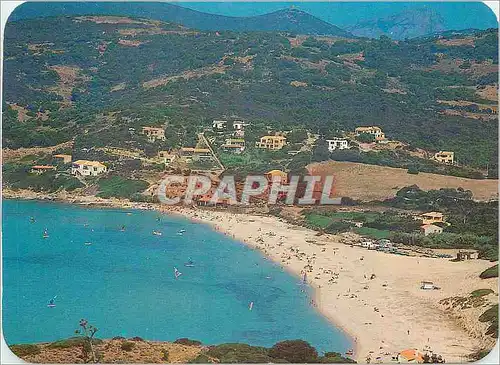 Cartes postales moderne Panorama de la Corse Cargese La vaste plage de sable fin du Pero
