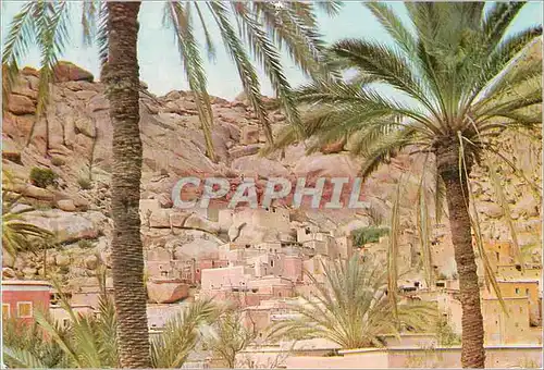 Cartes postales moderne Le Maroc Pittoresque Tafraout