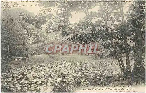 Cartes postales Brunoy Foret de Senart Mare du Capitaine et Carrefour du Poteau