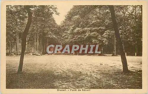 Cartes postales Draveil Foret de Senart