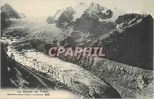 Cartes postales Le Glacier du Trient