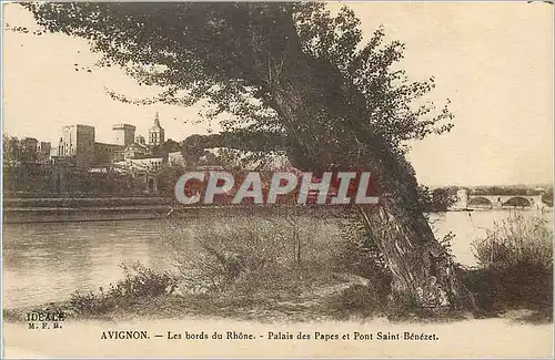 Cartes postales Avignon Les bords du Rhone Palais des Papes et Pont Saint Benezel