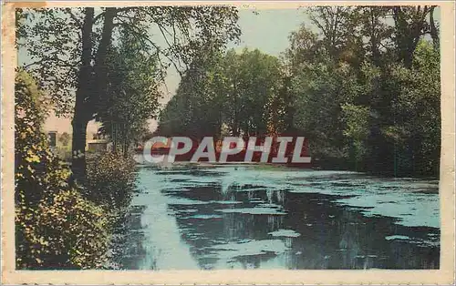 Cartes postales Coulommiers (S et M) Les Capucins Une piece d'eau