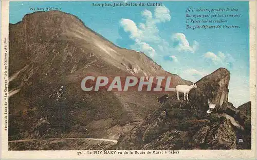 Cartes postales Le Puy Mary vu de la Route de Marit a Salera Chevre