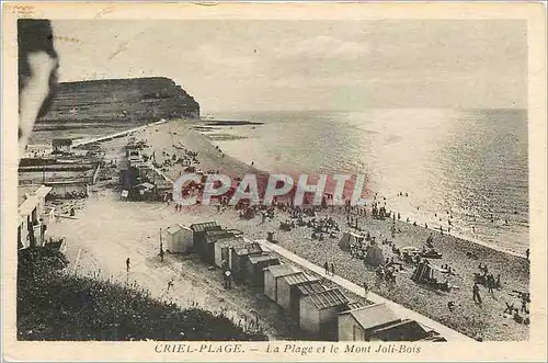 Cartes postales Criel Plage La Plage et le Mont Joli Bois