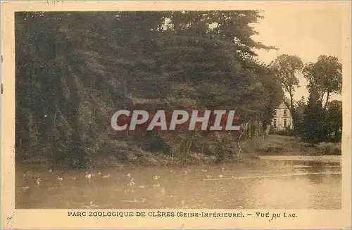 Ansichtskarte AK Parc Zoologique de Cleres (Seine Inferieure) Vue du Lac