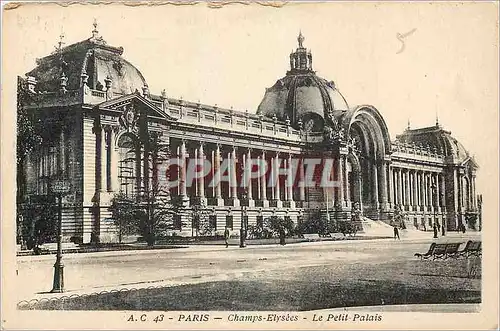 Cartes postales Paris Champs Elysees Le Petit Palais
