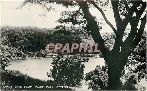 Cartes postales moderne Kandy Lake From Wace Park Ceylon