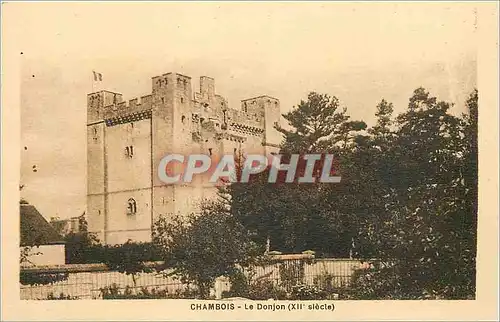 Cartes postales Chambois Le Donjon (XIIe siecle)