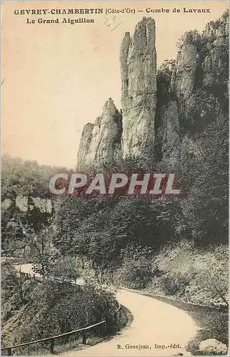 Cartes postales Gevrey Chambertin (Cote d'Or) Combe de Lavaux Le Grand Aiguillon