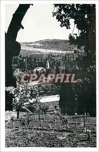 Cartes postales moderne Israel